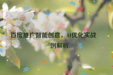 百度推廣智能創(chuàng)意，AI優(yōu)化實(shí)戰(zhàn)案例解析