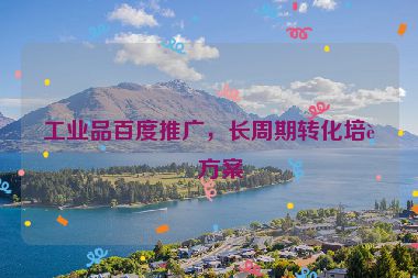 工業(yè)品百度推廣，長周期轉(zhuǎn)化培育方案