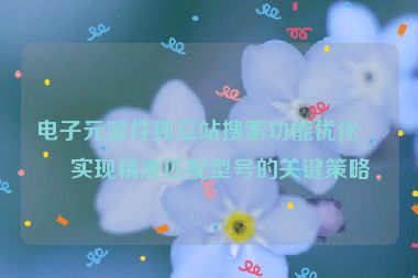 電子元器件獨(dú)立站搜索功能優(yōu)化，實(shí)現(xiàn)精準(zhǔn)匹配型號(hào)的關(guān)鍵策略
