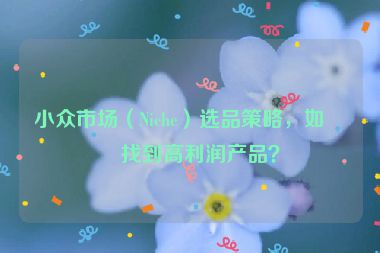 小眾市場(chǎng)（Niche）選品策略，如何找到高利潤產(chǎn)品？