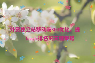 外貿(mào)獨(dú)立站移動(dòng)端SEO優(yōu)化，提升Google排名的關(guān)鍵策略