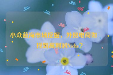 小眾藍海市場挖掘，外貿電商如何找到高利潤Niche？