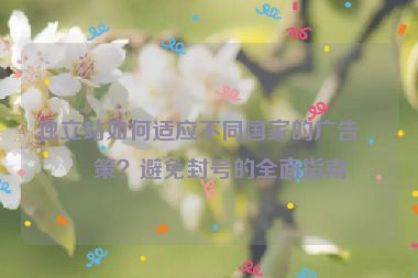 獨立站如何適應(yīng)不同國家的廣告政策？避免封號的全面指南