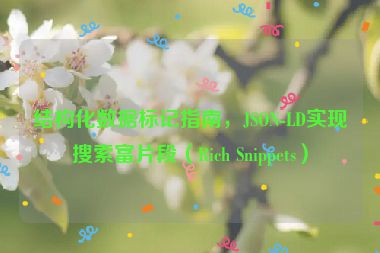 結(jié)構(gòu)化數(shù)據(jù)標(biāo)記指南，JSON-LD實(shí)現(xiàn)搜索富片段（Rich Snippets）