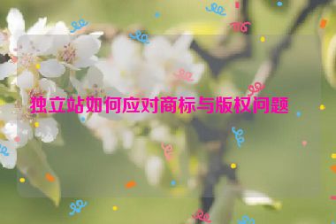 獨(dú)立站如何應(yīng)對商標(biāo)與版權(quán)問題？