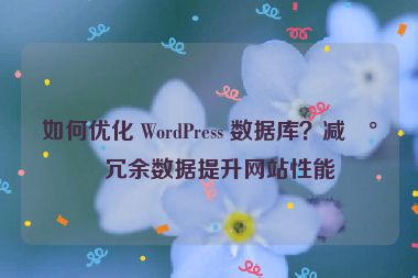 如何優(yōu)化 WordPress 數(shù)據(jù)庫？減少冗余數(shù)據(jù)提升網(wǎng)站性能
