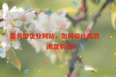 服務(wù)型企業(yè)網(wǎng)站，如何設(shè)計高效的詢盤系統(tǒng)？