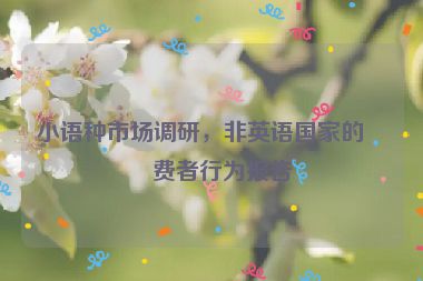 小語種市場調(diào)研，非英語國家的消費(fèi)者行為報告