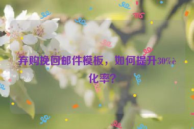 棄購?fù)旎剜]件模板，如何提升30%轉(zhuǎn)化率？