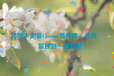 跨境人必備Chrome插件庫，從競品監(jiān)控到一鍵修圖