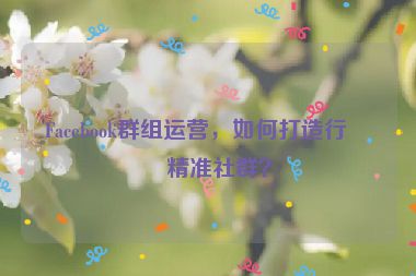 Facebook群組運(yùn)營，如何打造行業(yè)精準(zhǔn)社群？