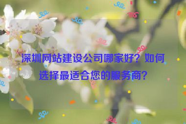 深圳網(wǎng)站建設(shè)公司哪家好？如何選擇最適合您的服務(wù)商？