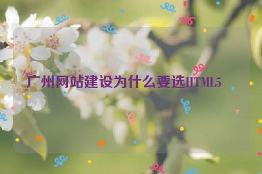 廣州網(wǎng)站建設(shè)為什么要選HTML5？