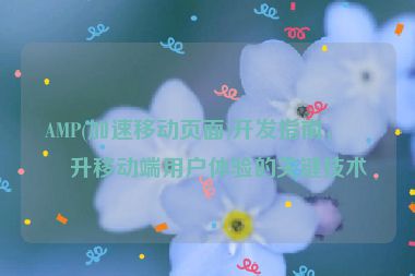 AMP(加速移動頁面)開發(fā)指南，提升移動端用戶體驗的關(guān)鍵技術(shù)