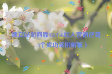 獨立站如何靠TikTok紅人營銷逆襲？3個成功案例解析）