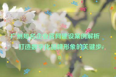 廣州知名企業(yè)官網(wǎng)建設(shè)案例解析，打造數(shù)字化品牌形象的關(guān)鍵步驟
