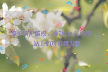 保護(hù)用戶(hù)版權(quán)，推動(dòng)UGC在外貿(mào)網(wǎng)站上的可持續(xù)發(fā)展