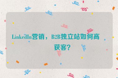 LinkedIn營銷，B2B獨立站如何高效獲客？
