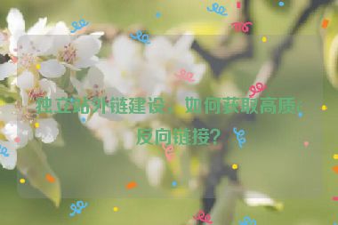 獨立站外鏈建設(shè)，如何獲取高質(zhì)量反向鏈接？
