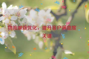 物流跟蹤優(yōu)化，提升客戶滿意度的關(guān)鍵