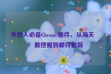 外貿(mào)人必備Chrome插件，從海關(guān)數(shù)據(jù)挖掘到郵件追蹤