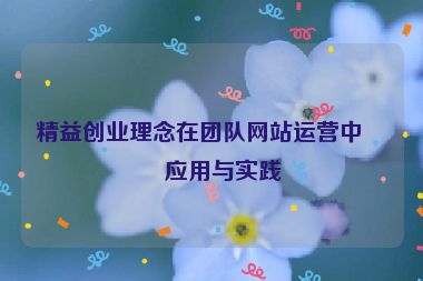 精益創(chuàng)業(yè)理念在團(tuán)隊(duì)網(wǎng)站運(yùn)營(yíng)中的應(yīng)用與實(shí)踐