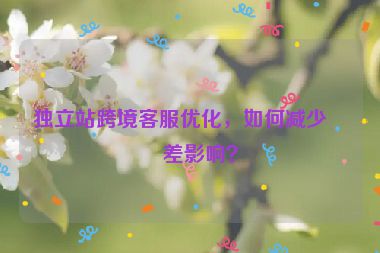 獨(dú)立站跨境客服優(yōu)化，如何減少時(shí)差影響？