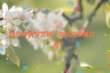 獨立站內容營銷，如何打造爆款博客？