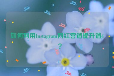 如何利用Instagram網(wǎng)紅營(yíng)銷(xiāo)提升銷(xiāo)量？