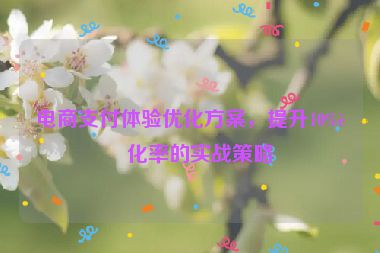 電商支付體驗優(yōu)化方案，提升10%轉(zhuǎn)化率的實戰(zhàn)策略