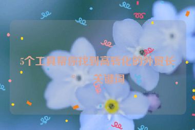 5個(gè)工具幫你找到高轉(zhuǎn)化的外貿(mào)長(zhǎng)尾關(guān)鍵詞