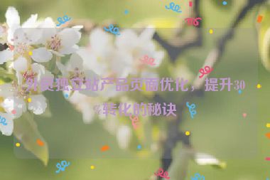 外貿(mào)獨(dú)立站產(chǎn)品頁面優(yōu)化，提升30%轉(zhuǎn)化的秘訣