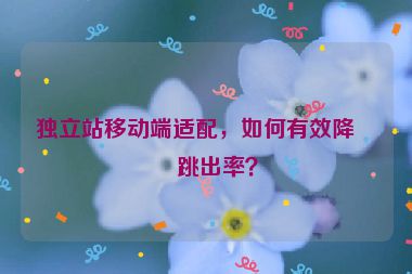 獨(dú)立站移動端適配，如何有效降低跳出率？
