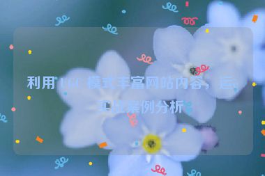 利用 UGC 模式豐富網(wǎng)站內(nèi)容，運營實戰(zhàn)案例分析