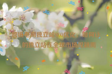 跨境電商獨立站SEO優(yōu)化，如何讓你的獨立站在全球市場脫穎而出