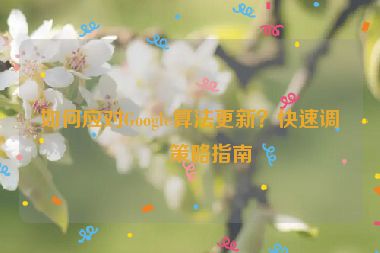 如何應(yīng)對Google算法更新？快速調(diào)整策略指南