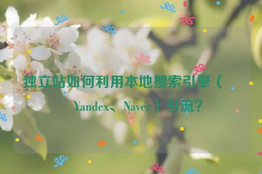 獨(dú)立站如何利用本地搜索引擎（如Yandex、Naver）引流？