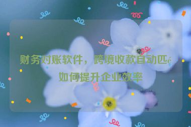 財(cái)務(wù)對(duì)賬軟件，跨境收款自動(dòng)匹配如何提升企業(yè)效率