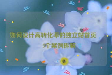 如何設(shè)計(jì)高轉(zhuǎn)化率的獨(dú)立站首頁(yè)？5個(gè)案例拆解