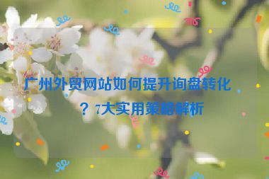 廣州外貿(mào)網(wǎng)站如何提升詢盤轉(zhuǎn)化率？7大實(shí)用策略解析