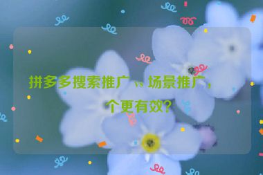 拼多多搜索推廣 vs 場(chǎng)景推廣，哪個(gè)更有效？
