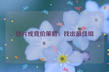 、圖片或競價(jià)策略，找出最佳組合