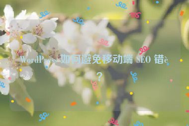 WordPress 如何避免移動(dòng)端 SEO 錯(cuò)誤？