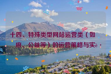 十四、特殊類型網(wǎng)站運(yùn)營(yíng)類（如政府、公益等）的運(yùn)營(yíng)策略與實(shí)踐