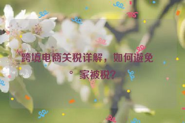 跨境電商關(guān)稅詳解，如何避免買家被稅？
