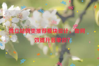 獨立站同類推薦模塊設(shè)計，如何有效提升客單價？