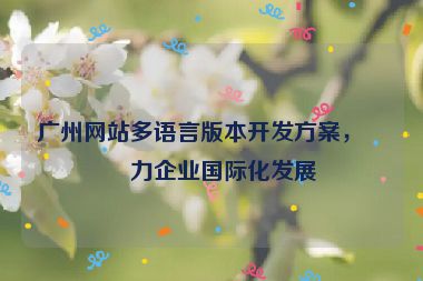 廣州網站多語言版本開發(fā)方案，助力企業(yè)國際化發(fā)展