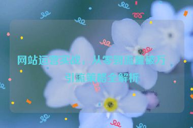網(wǎng)站運營實戰(zhàn)，從零到流量破萬的引流策略全解析