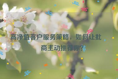 高凈值客戶服務(wù)策略，如何讓批發(fā)商主動(dòng)推薦你？