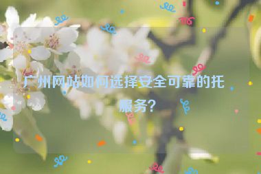 廣州網(wǎng)站如何選擇安全可靠的托管服務(wù)？